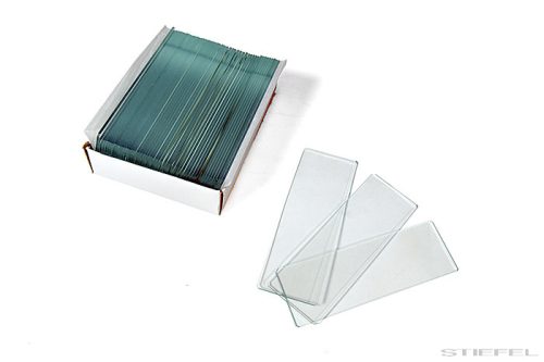 Levenhuk G50 tárgylemez (50 db)