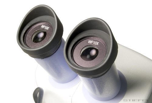 Levenhuk 5ST Binokuláris mikroszkóp, 20-40x