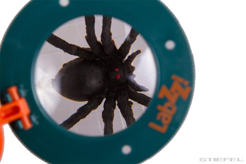 Levenhuk LabZZ C1 Rovarmegfigyelő doboz, 6x