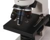 Levenhuk Rainbow 2L Monokuláris mikroszkóp, 40-400x, holdkő