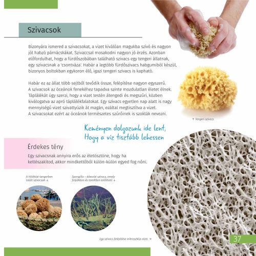 Levenhuk Láthatatlan világ - Ismeretterjesztő könyv, keménykötésű