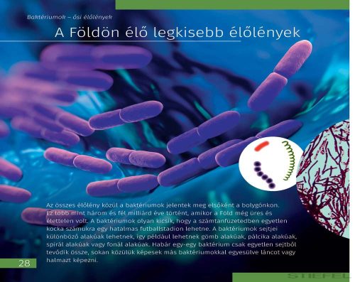 Levenhuk Láthatatlan világ - Ismeretterjesztő könyv, keménykötésű