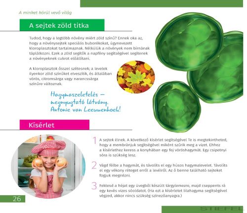 Levenhuk Láthatatlan világ - Ismeretterjesztő könyv, keménykötésű