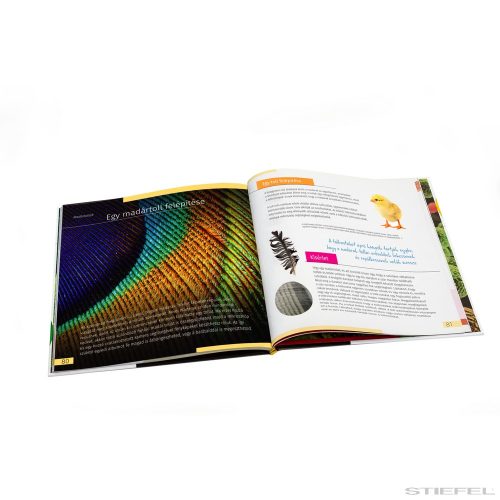 Levenhuk Láthatatlan világ - Ismeretterjesztő könyv, keménykötésű