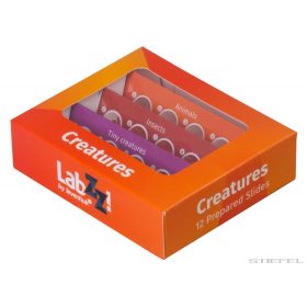   Levenhuk LabZZ C12 Állatok – előkészített tárgylemez-készlet