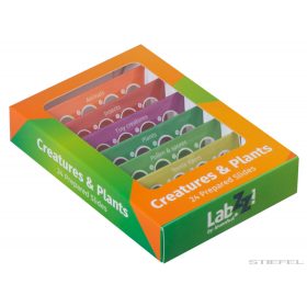   Levenhuk LabZZ CP24 Élőlények és növények – előkészített tárgylemez-készlet