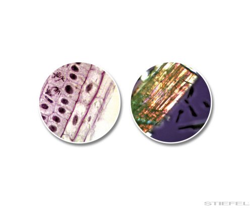 Bresser National Geographic készlet: 50/360 AZ Teleszkóp & Monokuláris mikroszkóp, 40–640x