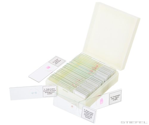 Levenhuk Discovery Prof DPS 25 Mikropreparátum készlet, Biológia, madarak stb.