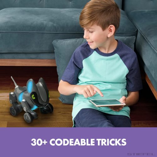 Pyxel, a programozható robotkutya