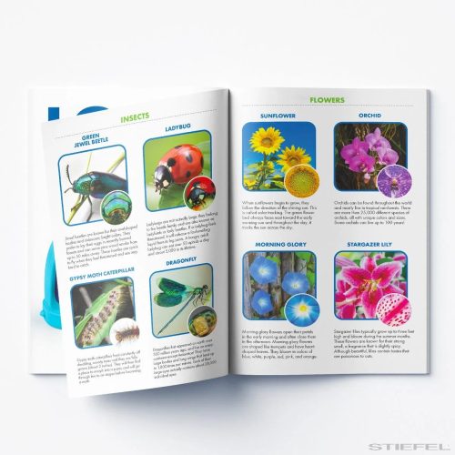 GeoSafari® Jr. - Mikroszkóp