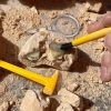GeoSafari® Kőzettani ásatási készlet