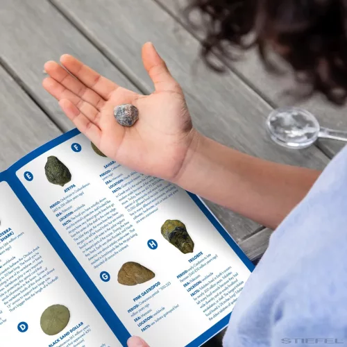 GeoSafari® Kőzettani ásatási készlet