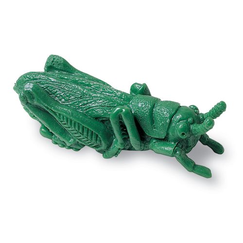 Bogarak számláló/szortírozó készlet