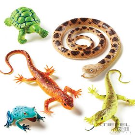 Jumbo hüllő és kétéltű állatok