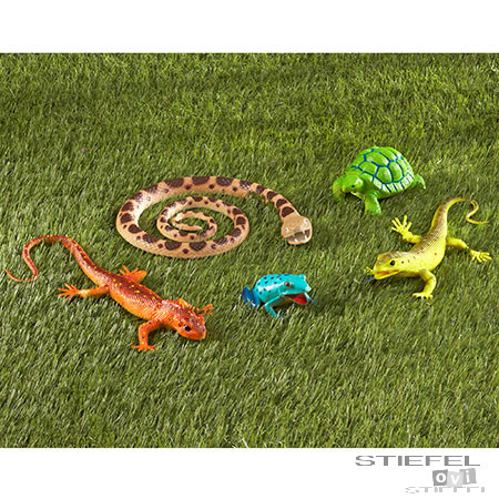 Jumbo hüllő és kétéltű állatok