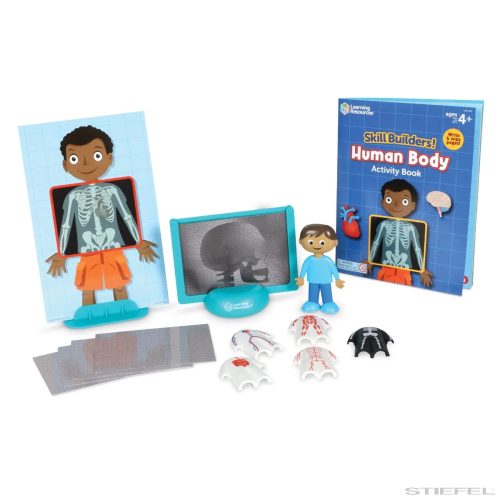 Skill Builders! Human Body - emberi test játékkészlet