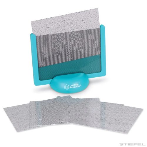 Skill Builders! Human Body - emberi test játékkészlet