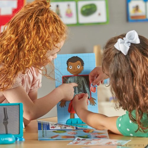 Skill Builders! Human Body - emberi test játékkészlet