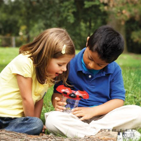 Bogárnéző készlet (6 darab)