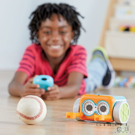 Botley programozható robot