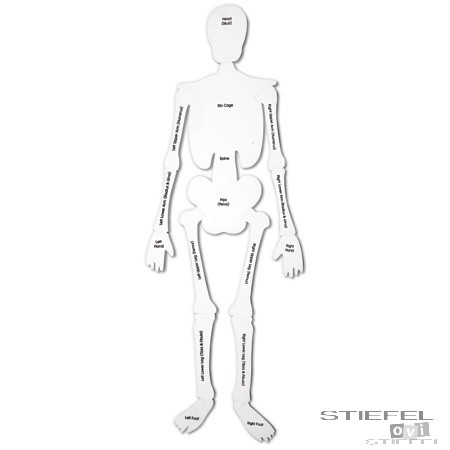 Óriás kirakó - Az emberi csontváz