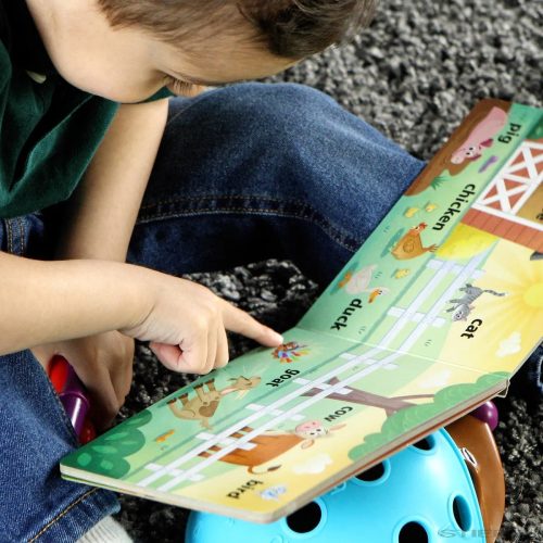 Spike The Fine Motor Hedgehog® First Words könyvkészlet