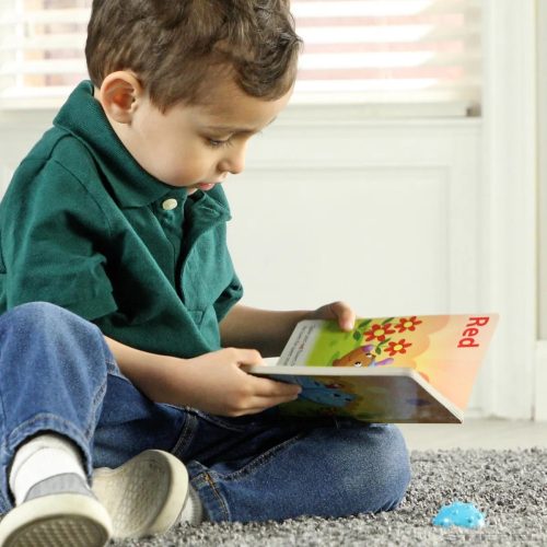 Spike és barátai Színek és Számolás könyvkészlet