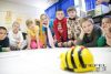 Közepes Bee-Bot csomag és "Robotika az óvodában" oktatás