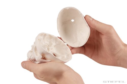 Koponya modell (miniatűr), 3 részes