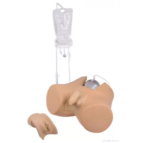 Katéterező tréner, férfi és női nemi szervbetéttel