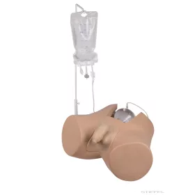 Katéterező tréner, férfi nemi szervbetéttel