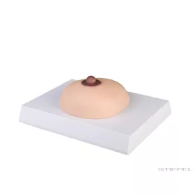 Mellrák kitapintás modell
