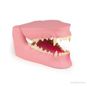 Kutya állkapocs, egészséges/beteg