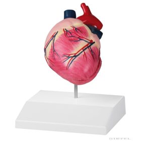 Kutya szív, életnagyságú, 2 részes