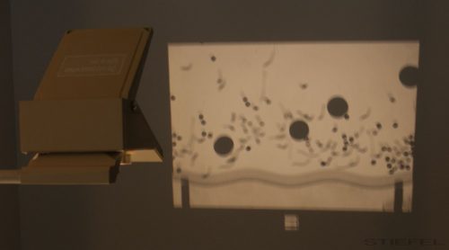 Részecskemozgás készülék írásvetítőhöz