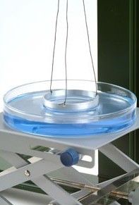 Gyűrű, felületi feszültség mérésére