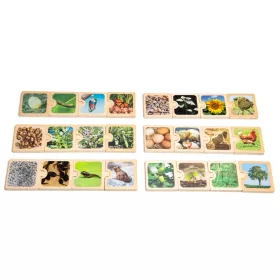 Oktató Puzzle - Életciklusok