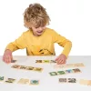 Oktató Puzzle - Életciklusok