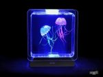 Szenzoros Medúza akvárium