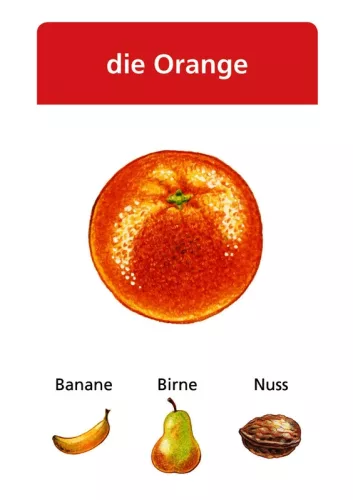 SCHUBICARDS Deutsch – Névelők: der, die, das