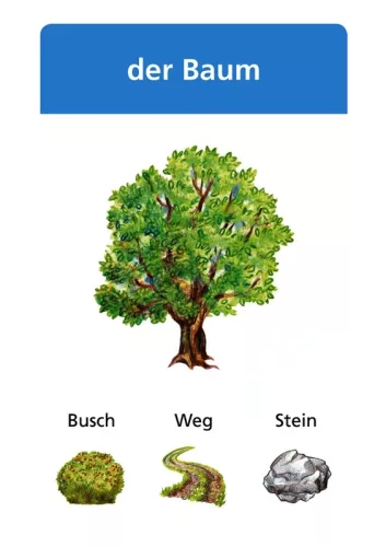 SCHUBICARDS Deutsch – Névelők: der, die, das