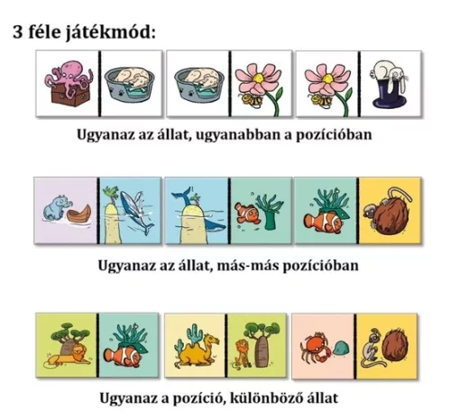DOMINO 1 – Téri viszonyok