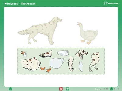 iDoctum Környezetismeret - Természetismeret