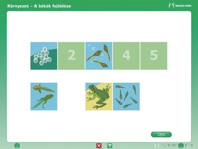 iDoctum Környezetismeret - Természetismeret