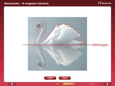 iDoctum Geometriai transzformációk - Matematika