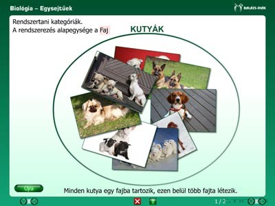 iDoctum Az állatok világa, az állatok országa - Biológia 