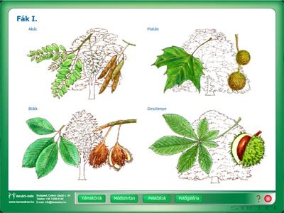 Digitális Tananyag Növénytan 