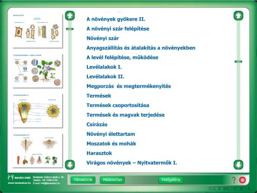 Digitális Tananyag Növénytan 