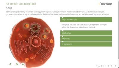 LITE Biológia - Emberi test és működése 1 
