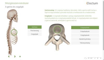 LITE Biológia - Emberi test és működése 1 